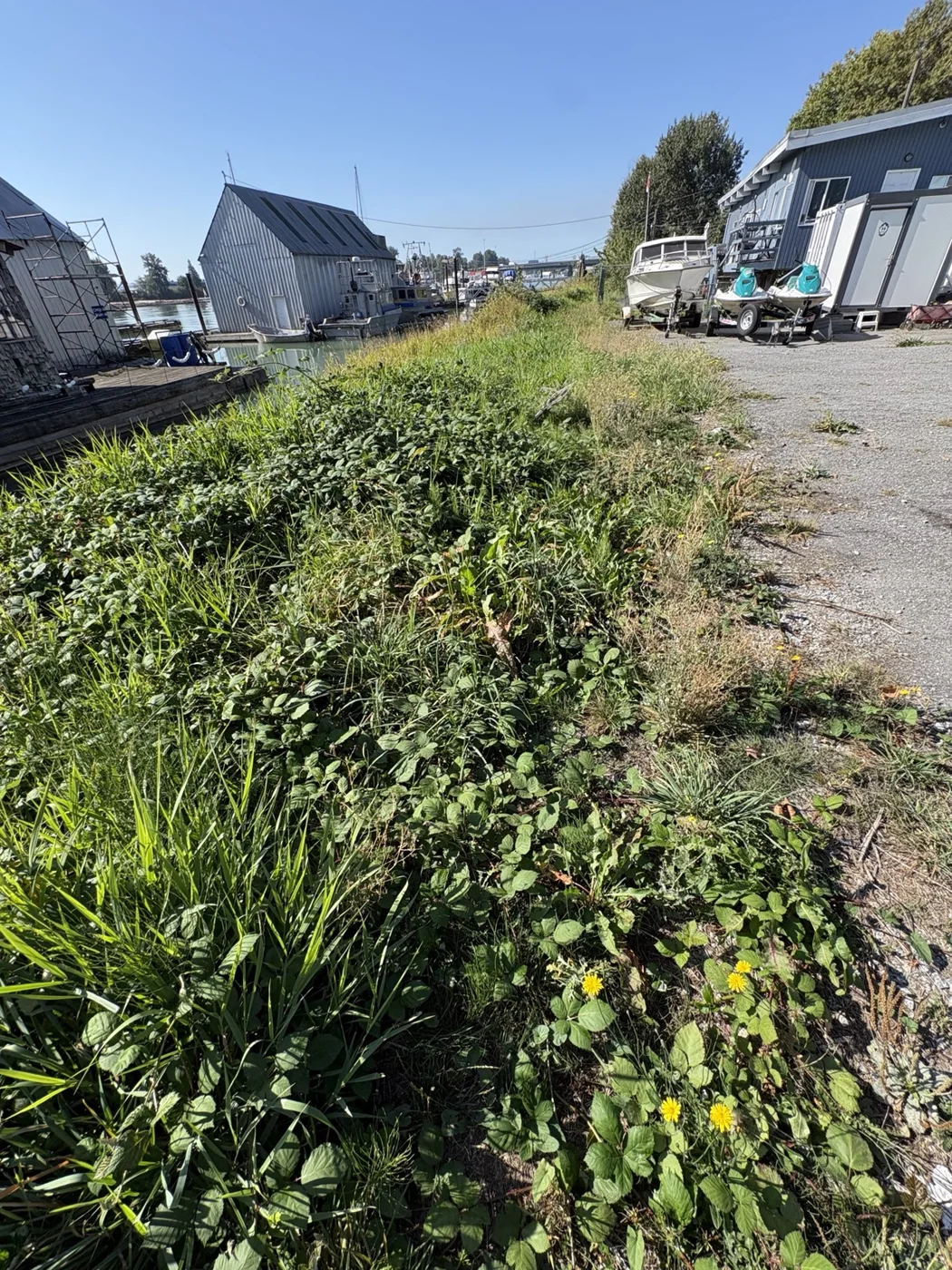 Beside the boats — Before