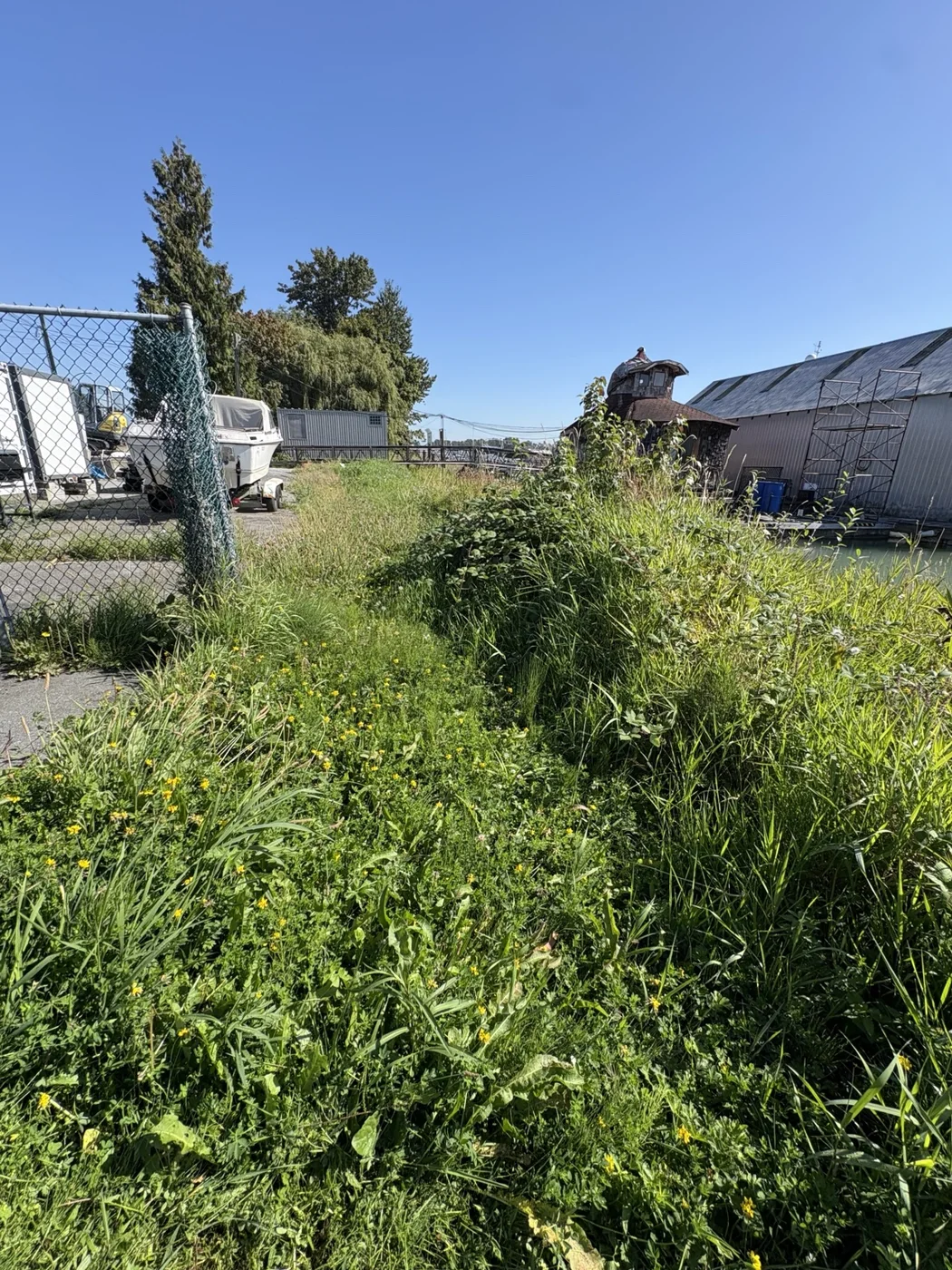 Boatyard weed and walkway cleanup — Before