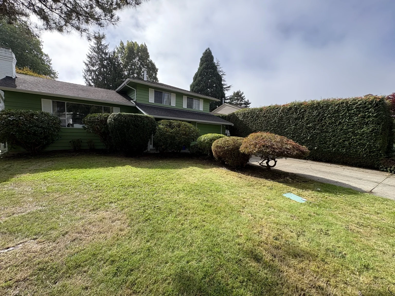 Hedge and shrub trimming across a residential garden — After