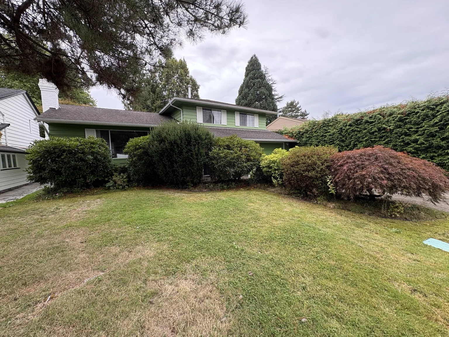 Hedge and shrub trimming across a residential garden — Before