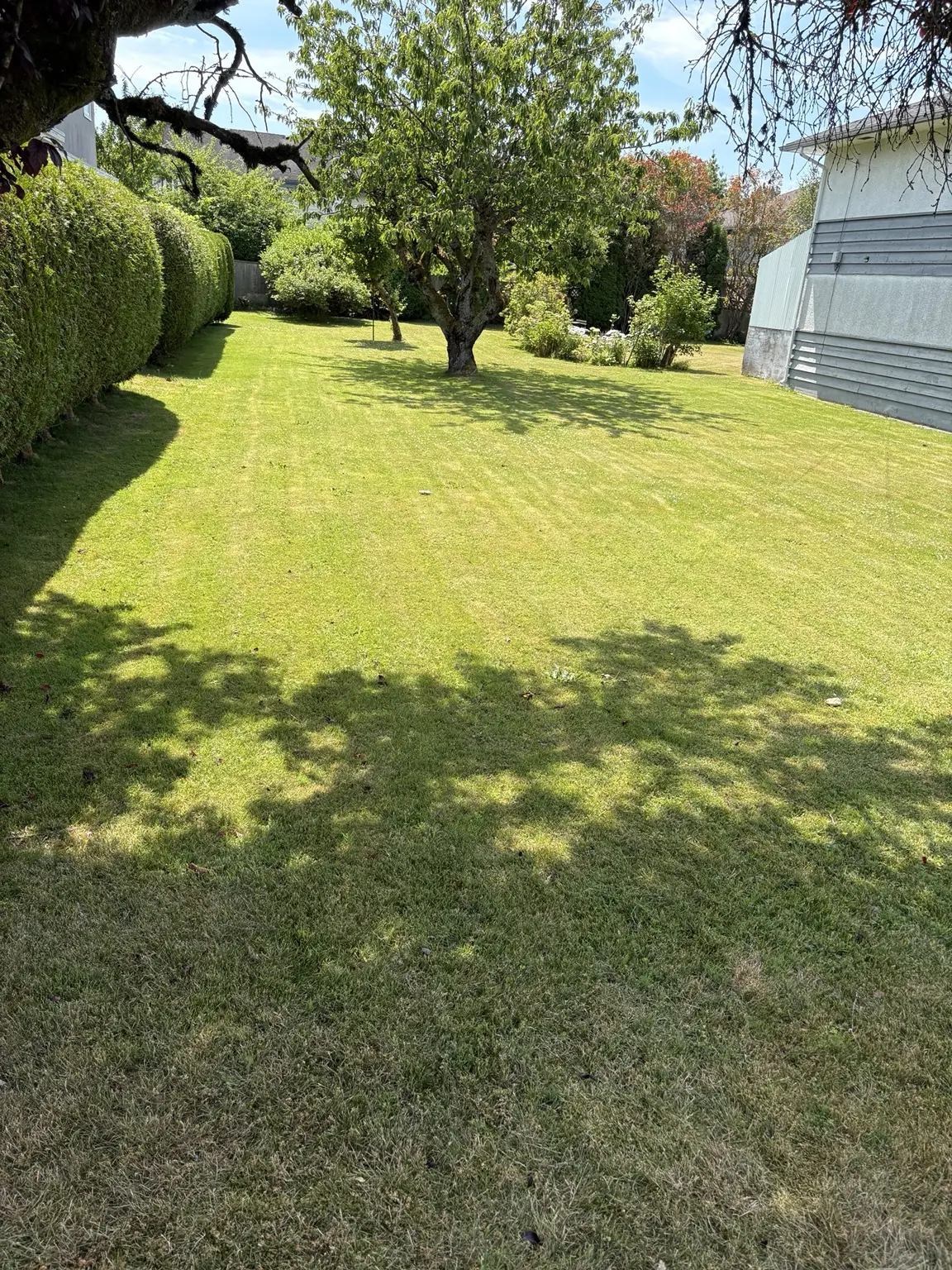 Finished lawn mowing service at a Richmond home
