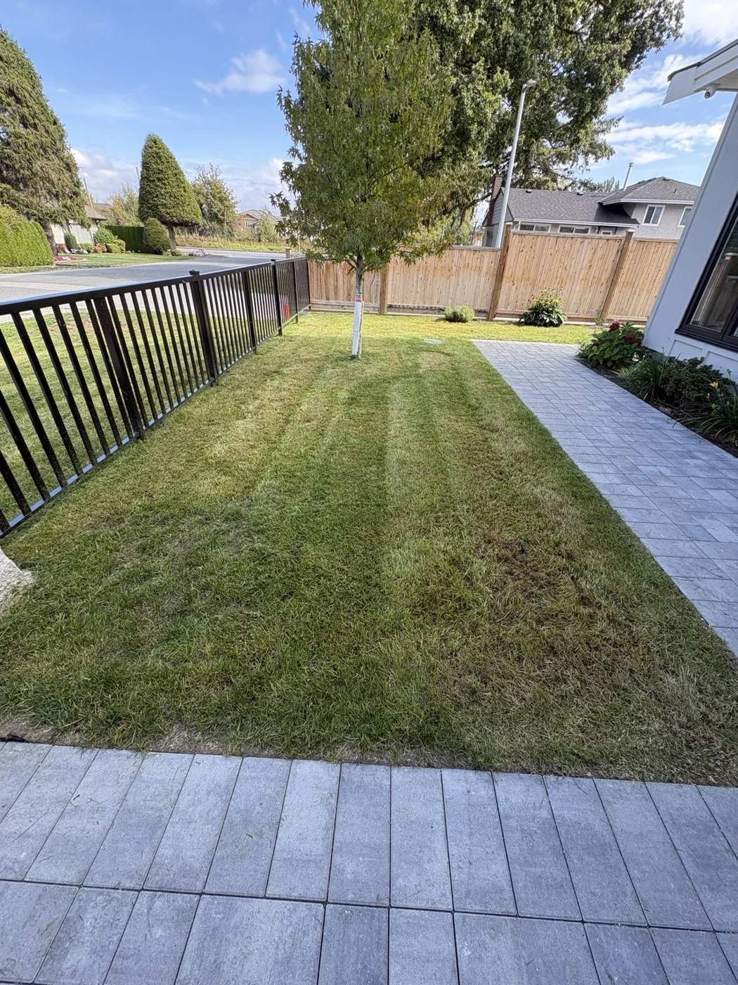 Finished front lawn
