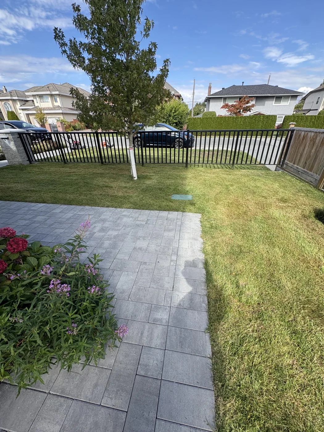 Thick lawn mowing at a new home — After