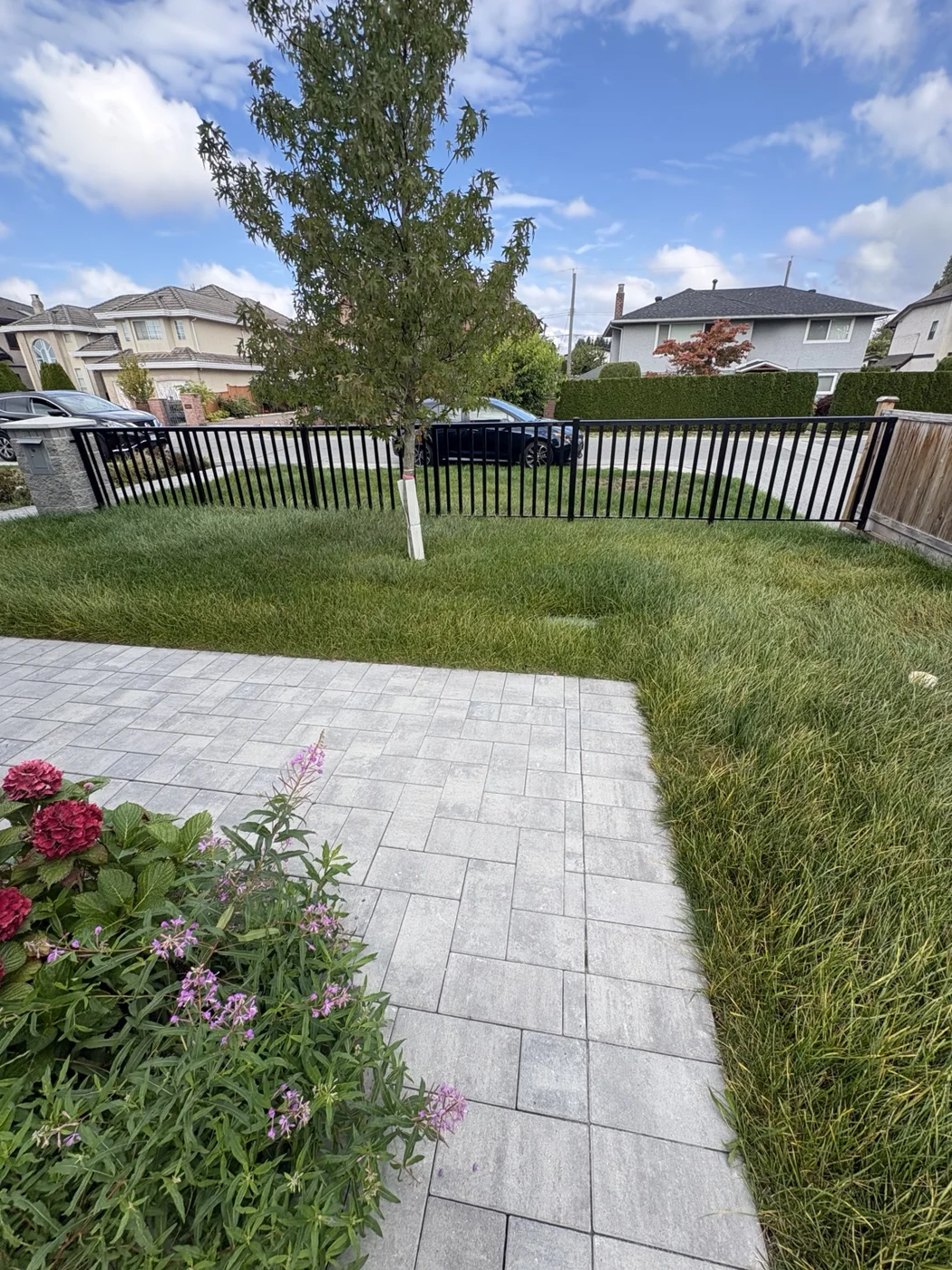 Thick lawn mowing at a new home — Before