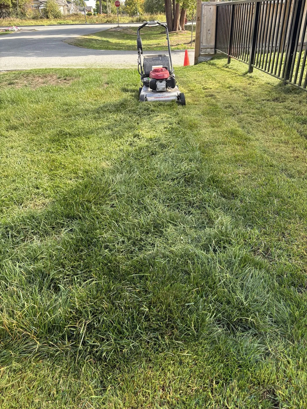 Mowing in progress