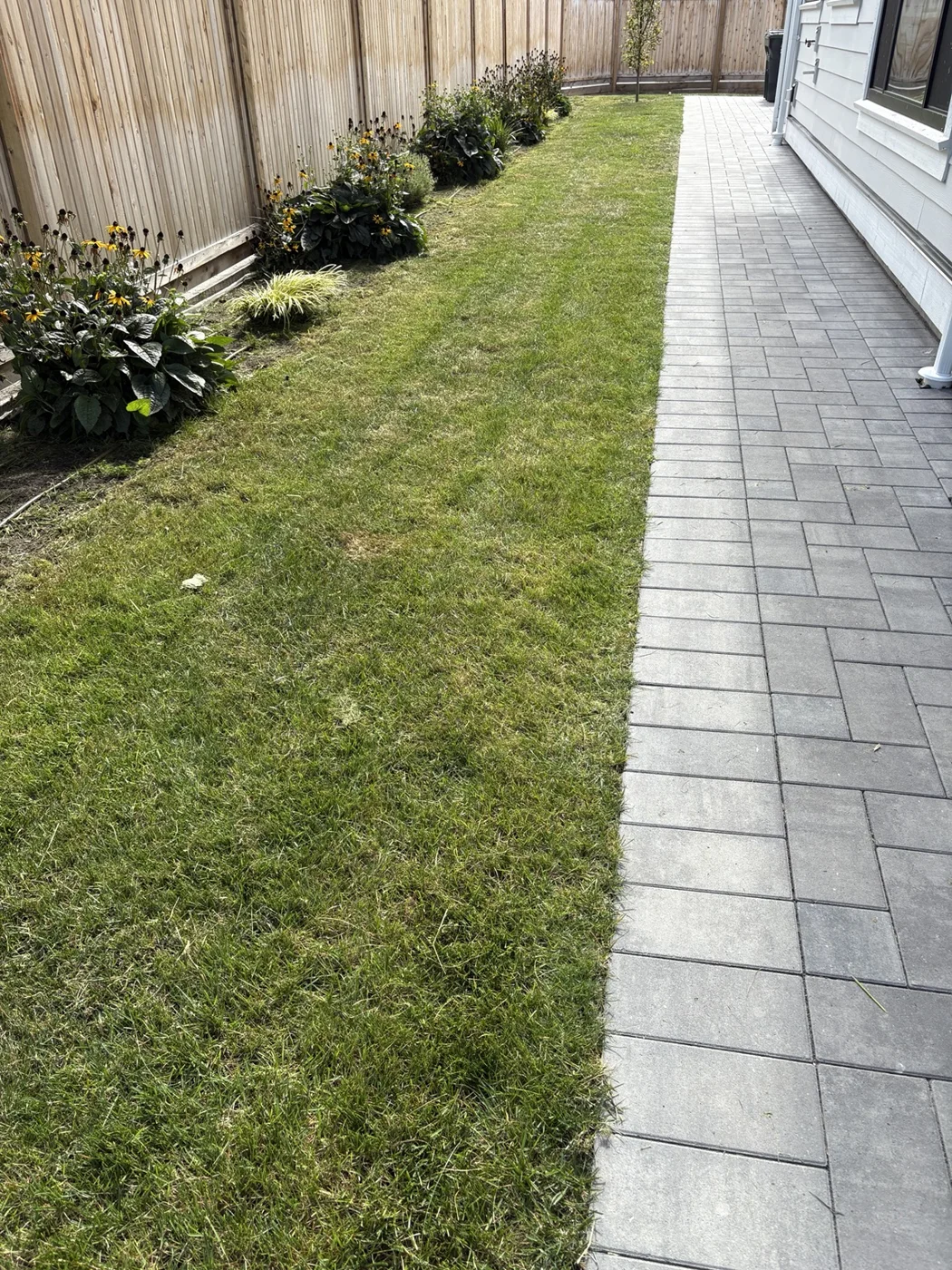 Side lawn — After