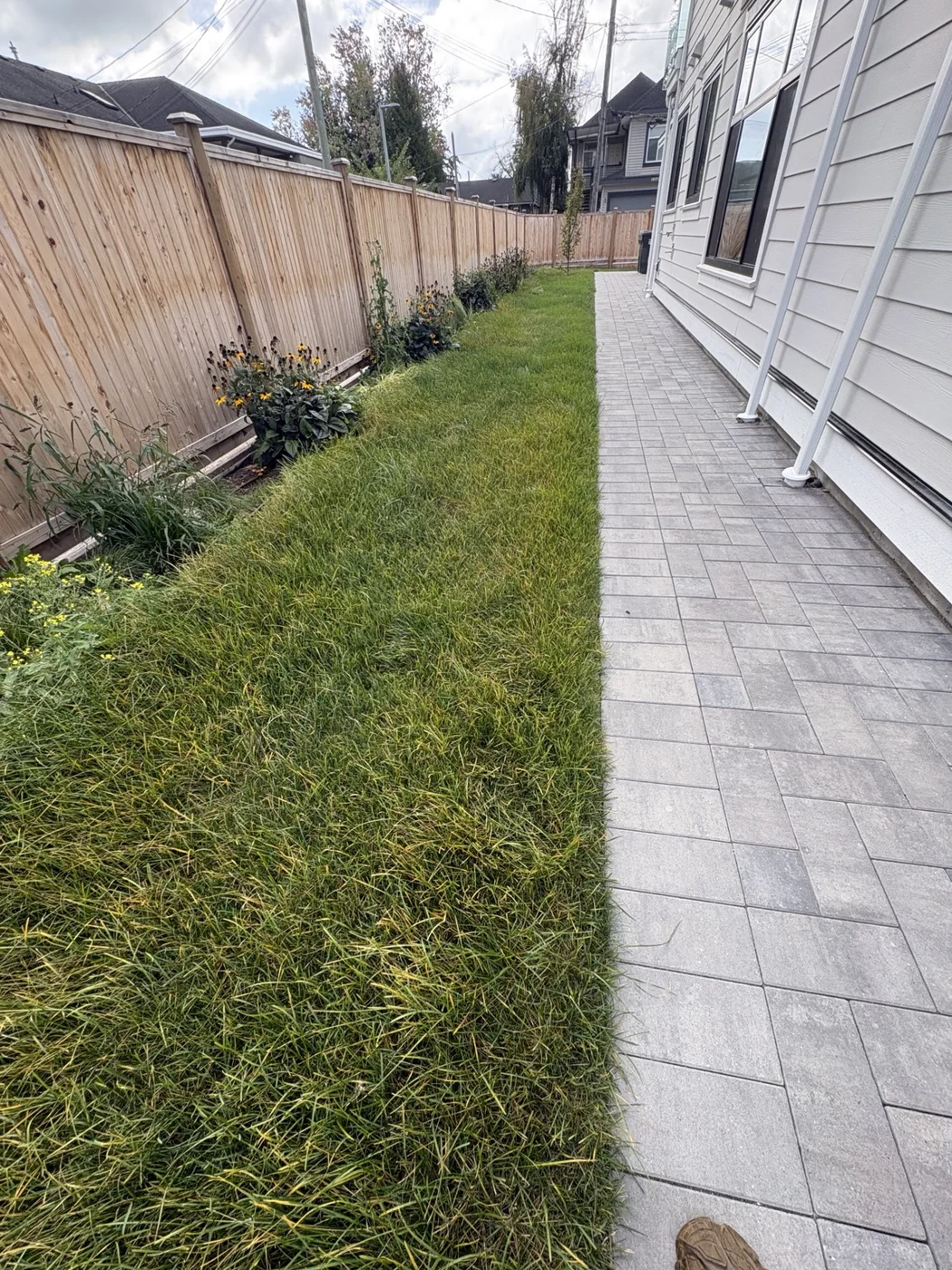 Side lawn — Before