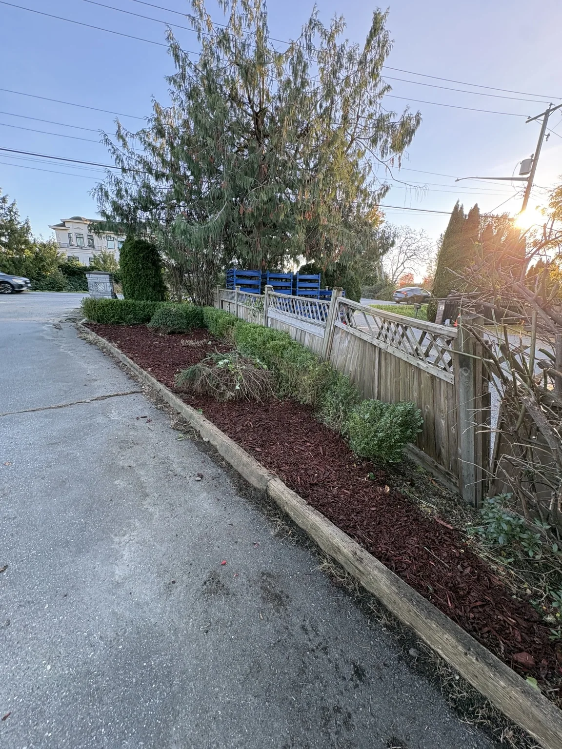 Driveway garden border — After