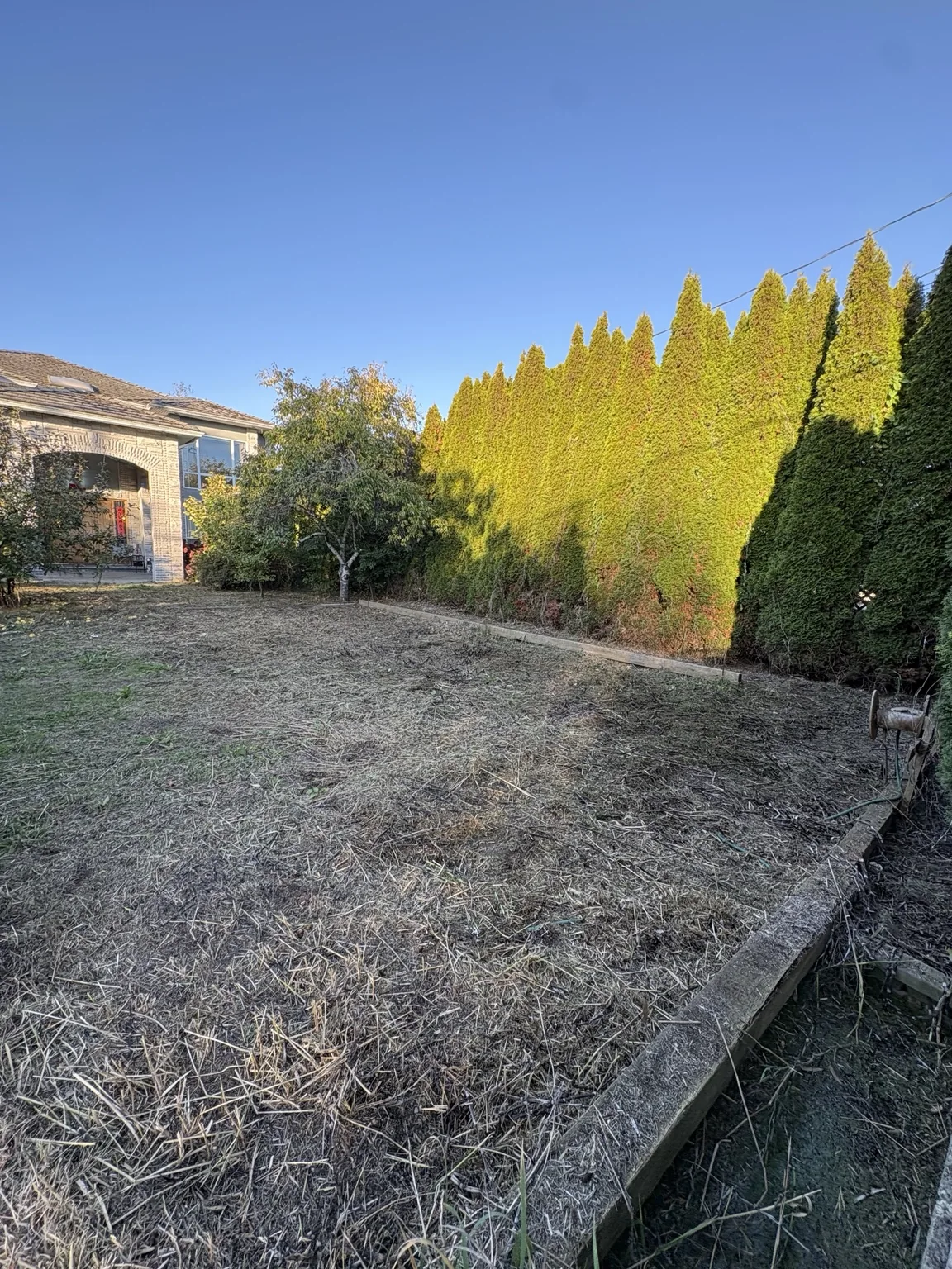 Tall-weed clearing — After