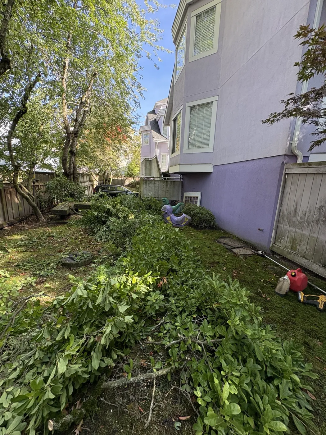 Branch collection · in progress at a Richmond townhouse community