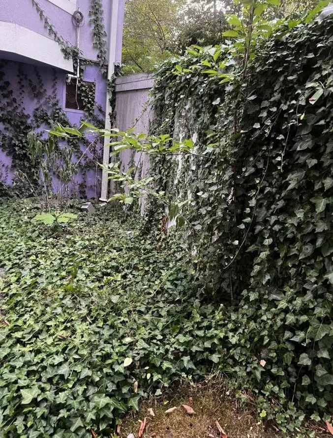 Garden corner · before at a Richmond townhouse community