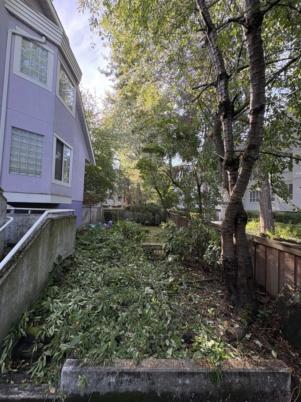 Tree pruning · in progress at a Richmond townhouse community