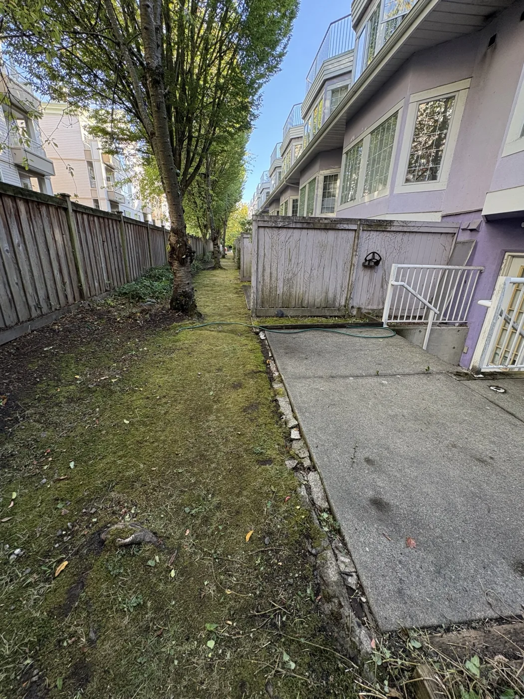 Richmond Strata Cleanup & Landscape Maintenance — After