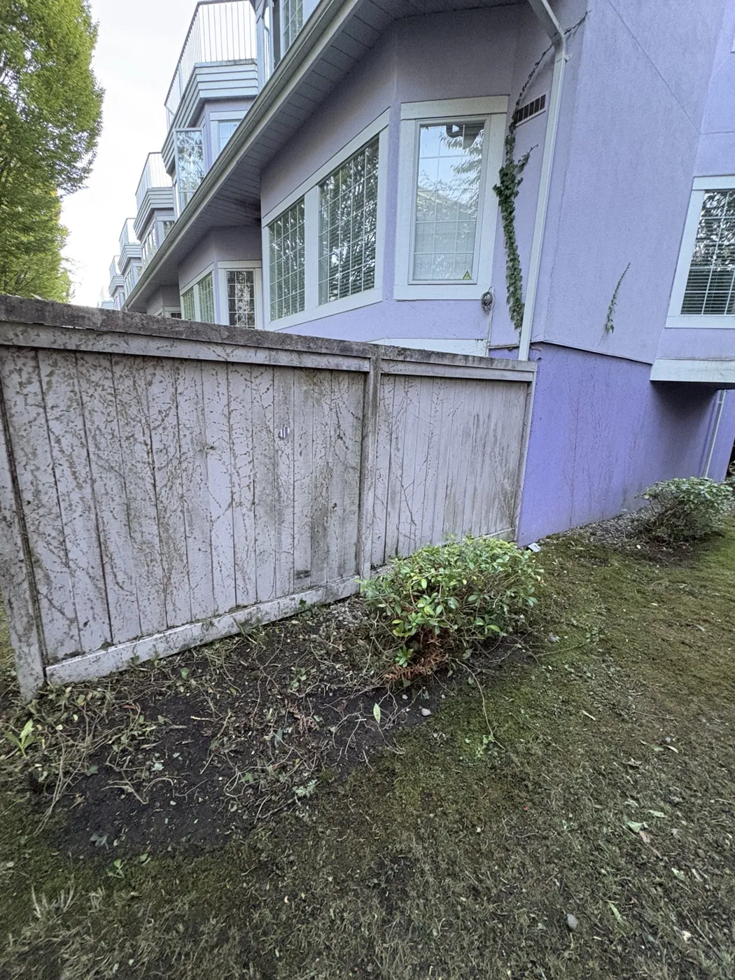 Wall-side vines cleared · after at a Richmond townhouse community