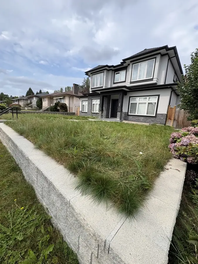 Overgrown lawn recovery — Before