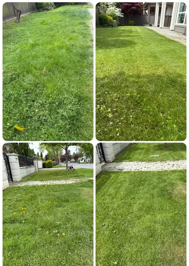 Recurring lawn care