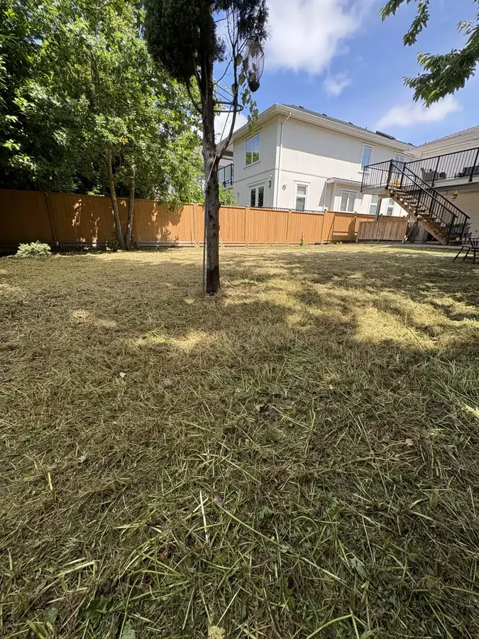 Overgrown yard cleanup — After