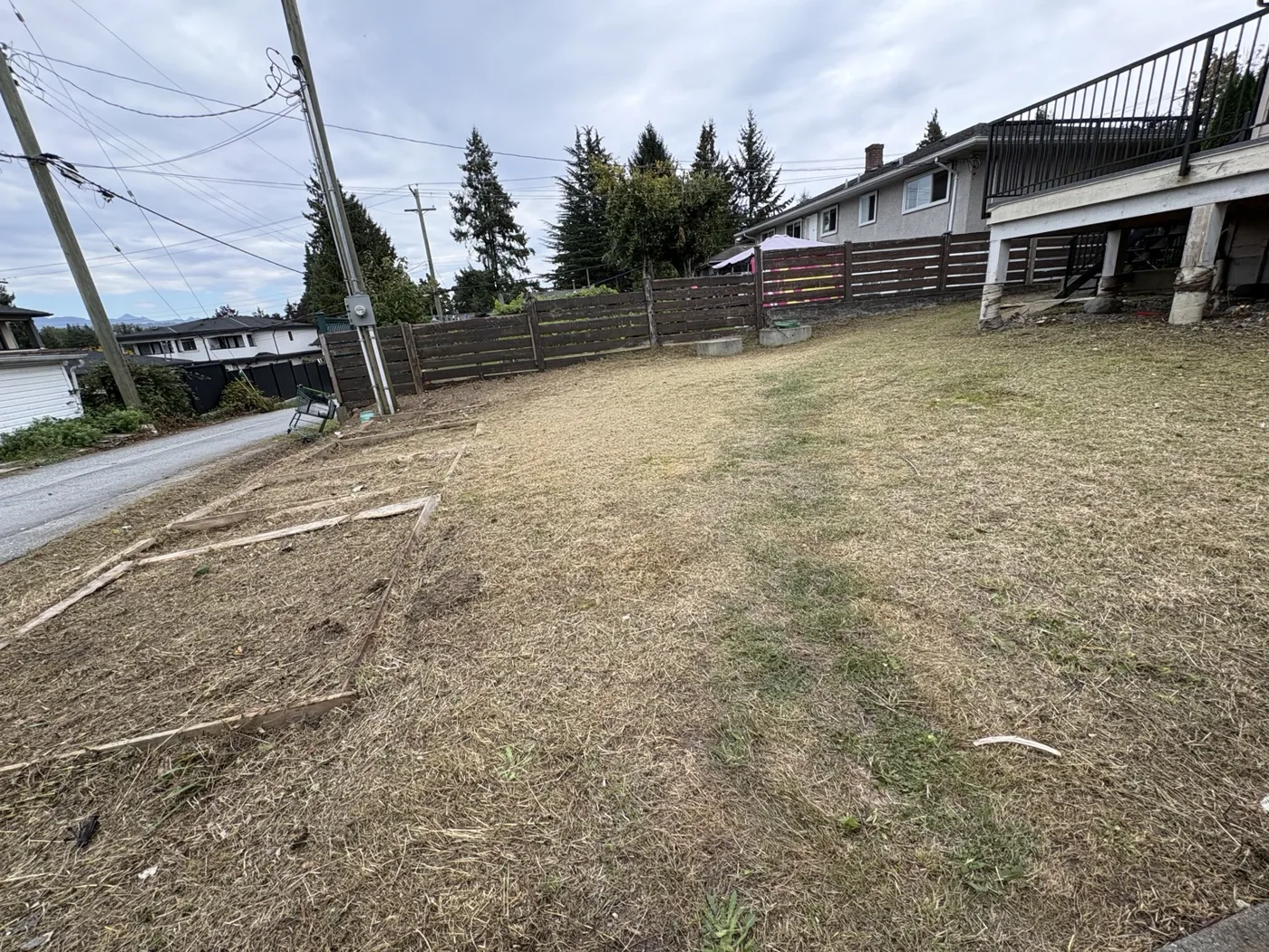 Backyard after clearing