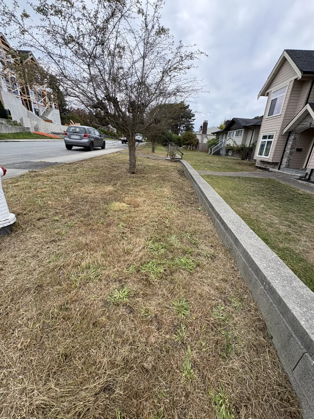 Overgrown front and backyard cleanup — After