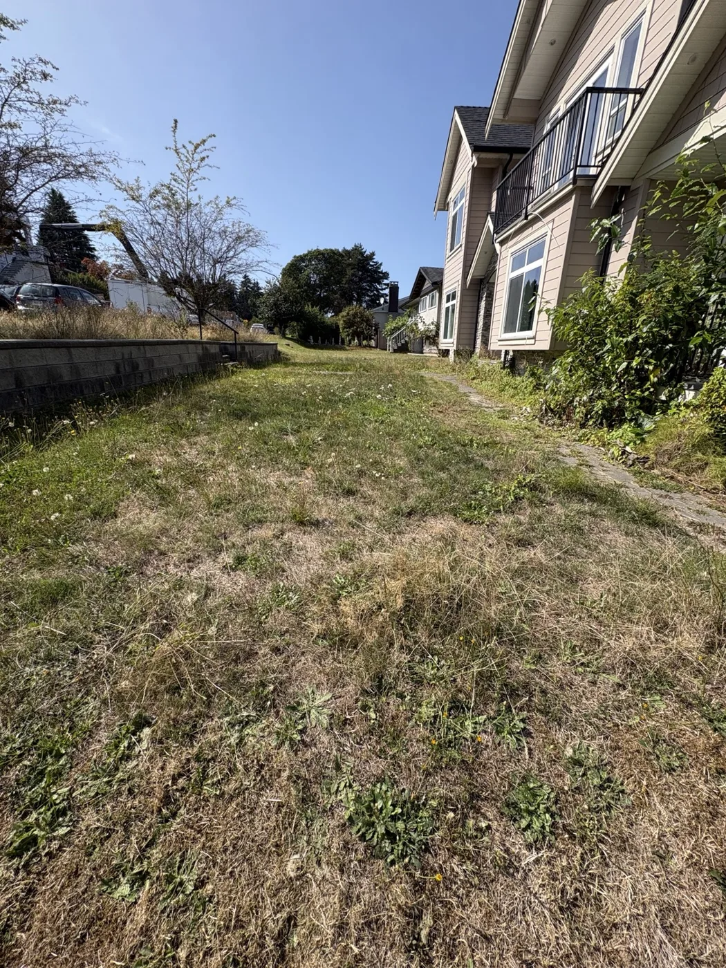 Lawn beside the house — Before cleanup